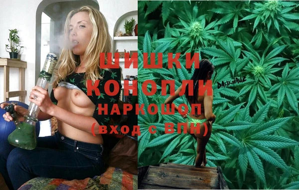 МДПВ Богданович